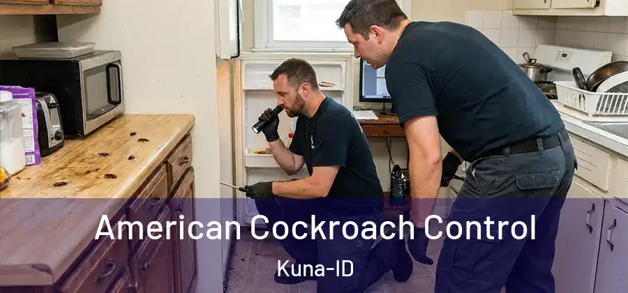  American Cockroach Control Kuna-ID
