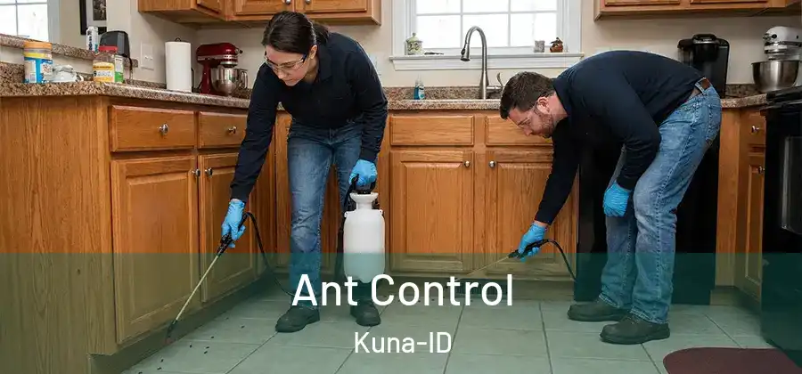 Ant Control Kuna-ID