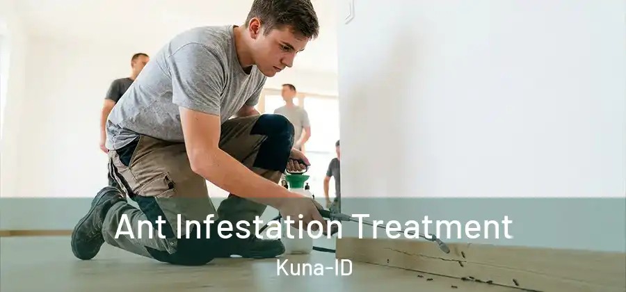  Ant Infestation Treatment Kuna-ID