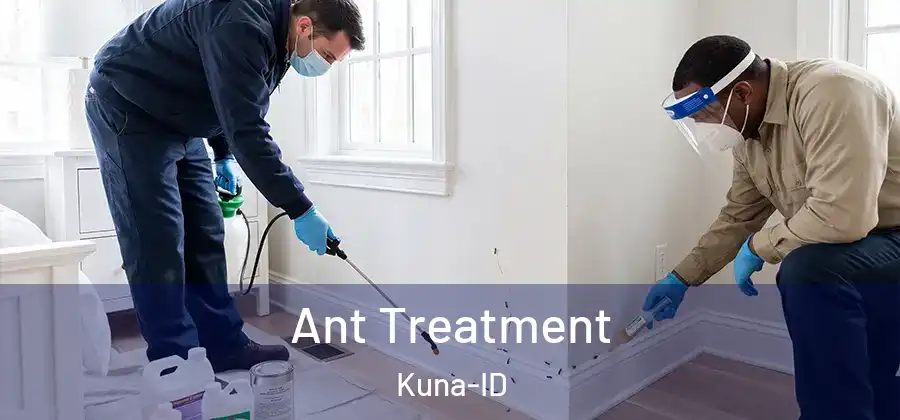 Ant Treatment Kuna-ID