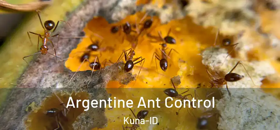 Argentine Ant Control Kuna-ID