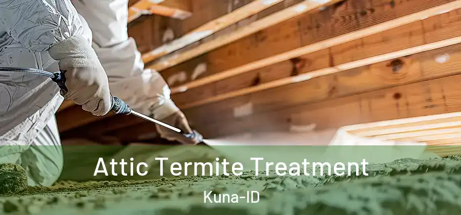 Attic Termite Treatment Kuna-ID