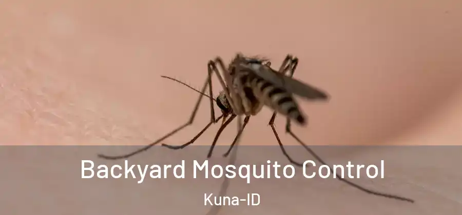  Backyard Mosquito Control Kuna-ID