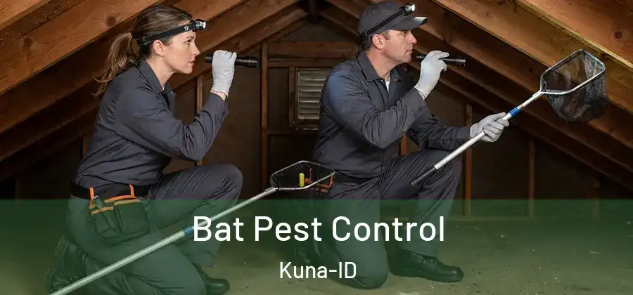  Bat Pest Control Kuna-ID