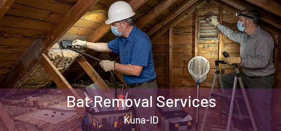  Bat Removal Services Kuna-ID