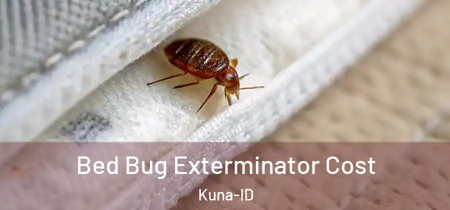 Bed Bug Exterminator Cost Kuna-ID