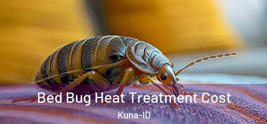 Bed Bug Heat Treatment Cost Kuna-ID