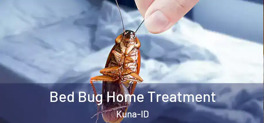 Bed Bug Home Treatment Kuna-ID