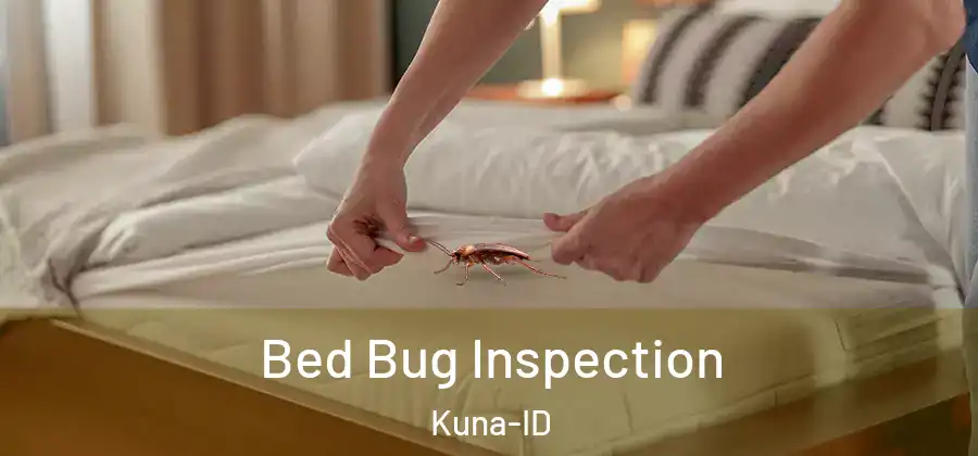 Bed Bug Inspection Kuna-ID