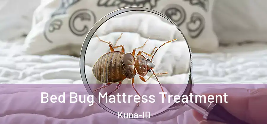  Bed Bug Mattress Treatment Kuna-ID