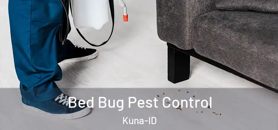 Bed Bug Pest Control Kuna-ID