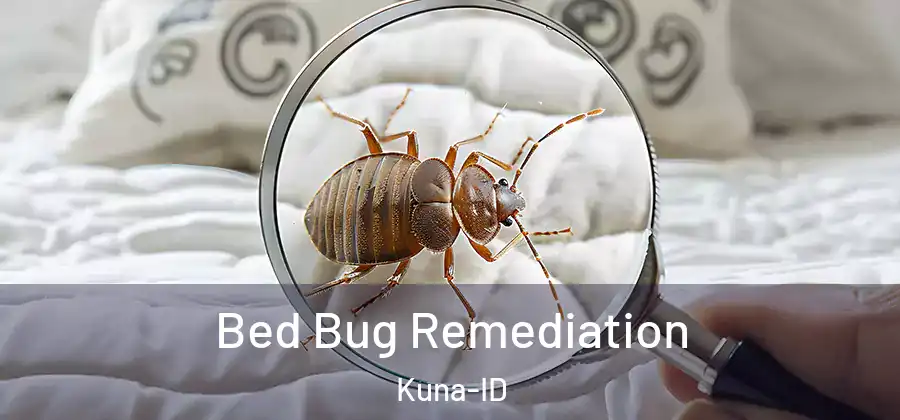  Bed Bug Remediation Kuna-ID