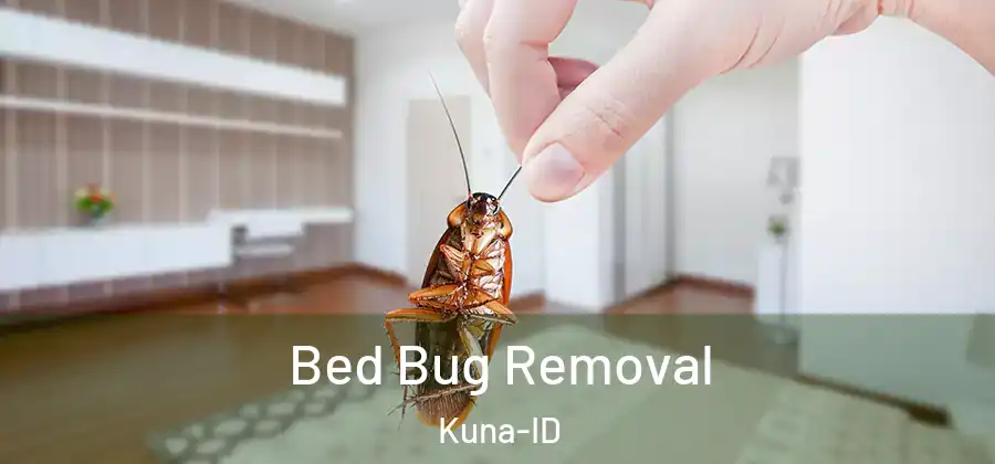 Bed Bug Removal Kuna-ID