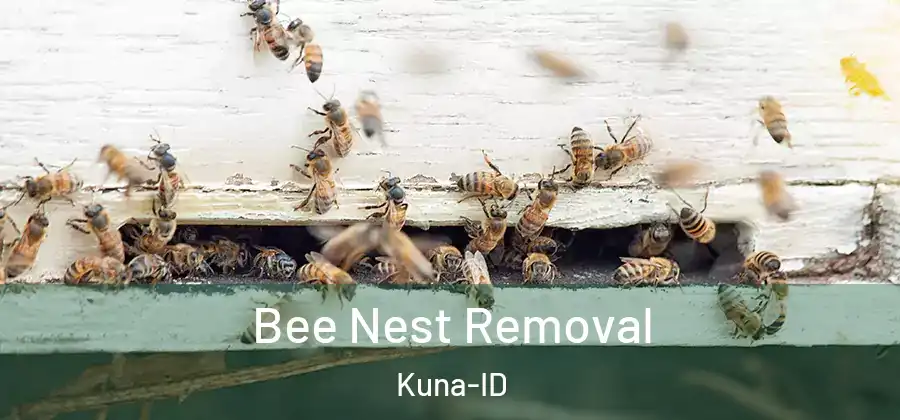 Bee Nest Removal Kuna-ID