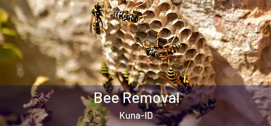Bee Removal Kuna-ID