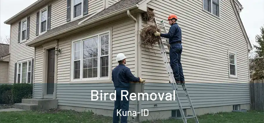 Bird Removal Kuna-ID