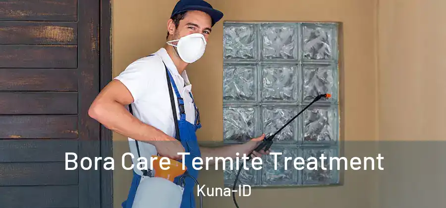  Bora Care Termite Treatment Kuna-ID