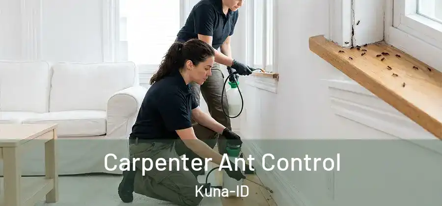 Carpenter Ant Control Kuna-ID