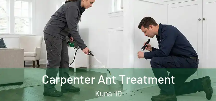 Carpenter Ant Treatment Kuna-ID
