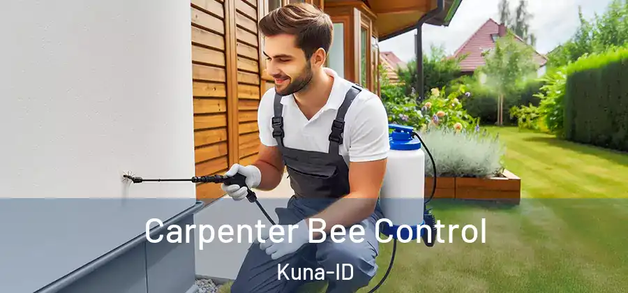 Carpenter Bee Control Kuna-ID