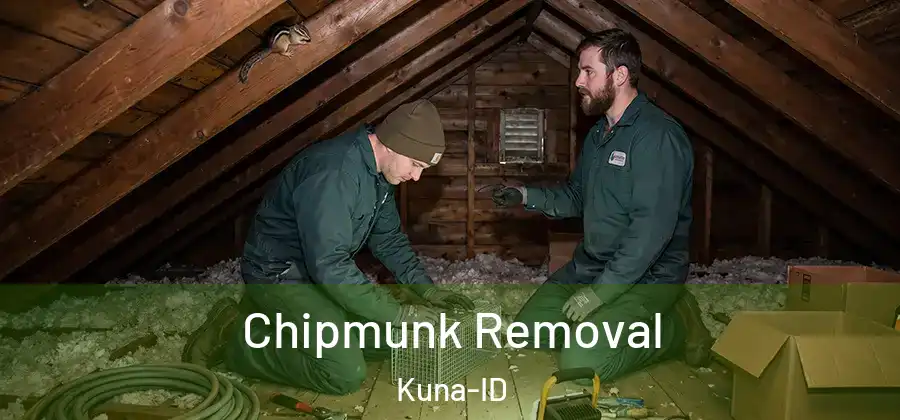 Chipmunk Removal Kuna-ID