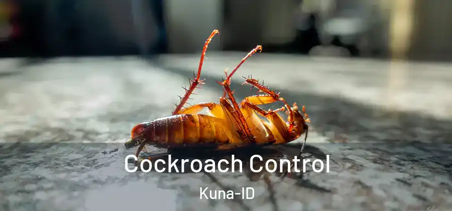 Cockroach Control Kuna-ID