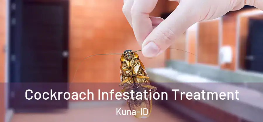Cockroach Infestation Treatment Kuna-ID