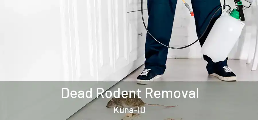 Dead Rodent Removal Kuna-ID