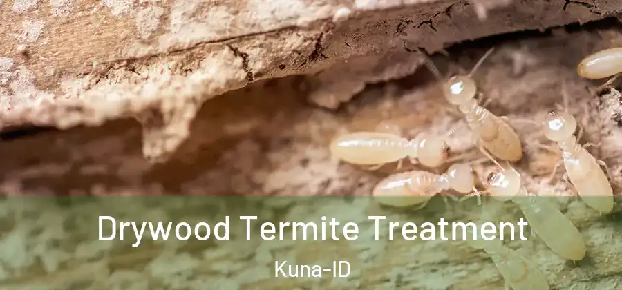  Drywood Termite Treatment Kuna-ID