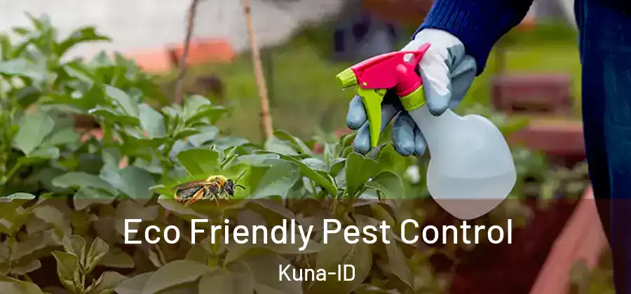 Eco Friendly Pest Control Kuna-ID