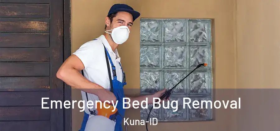 Emergency Bed Bug Removal Kuna-ID