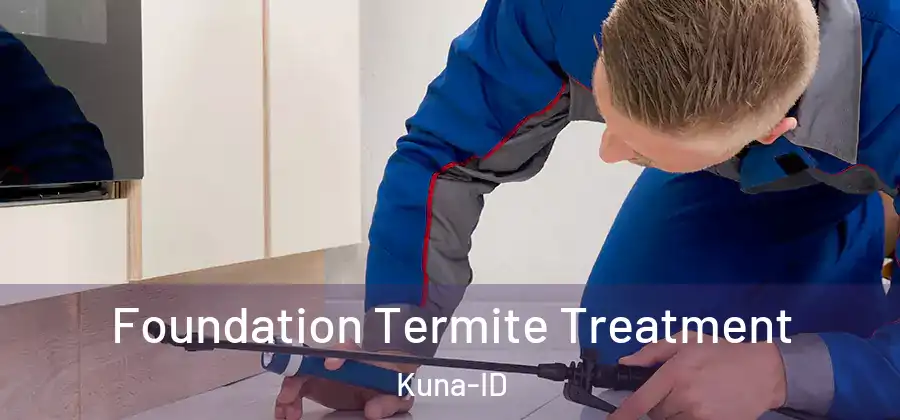 Foundation Termite Treatment Kuna-ID