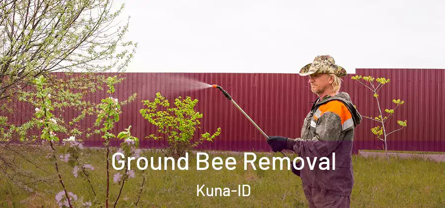  Ground Bee Removal Kuna-ID