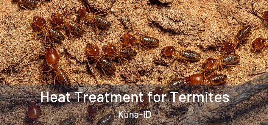  Heat Treatment for Termites Kuna-ID