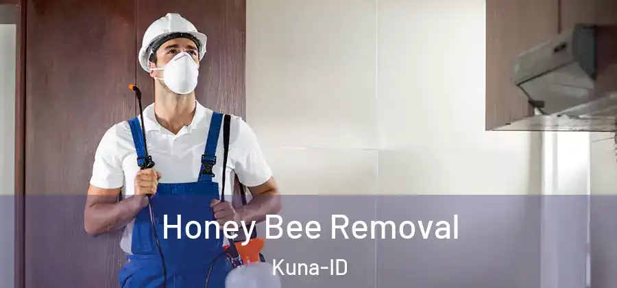 Honey Bee Removal Kuna-ID