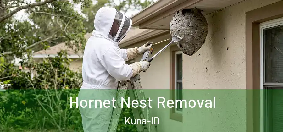  Hornet Nest Removal Kuna-ID