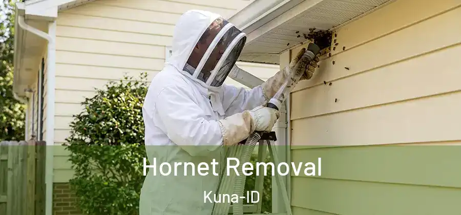 Hornet Removal Kuna-ID