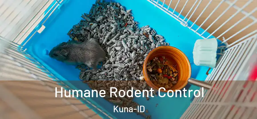 Humane Rodent Control Kuna-ID