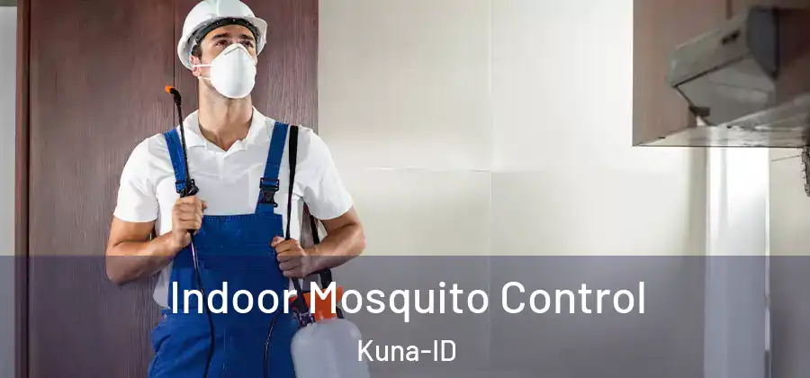 Indoor Mosquito Control Kuna-ID