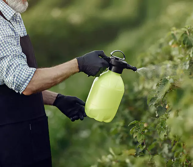 Your Proven Mosquito Treatment Company in Kuna, ID
