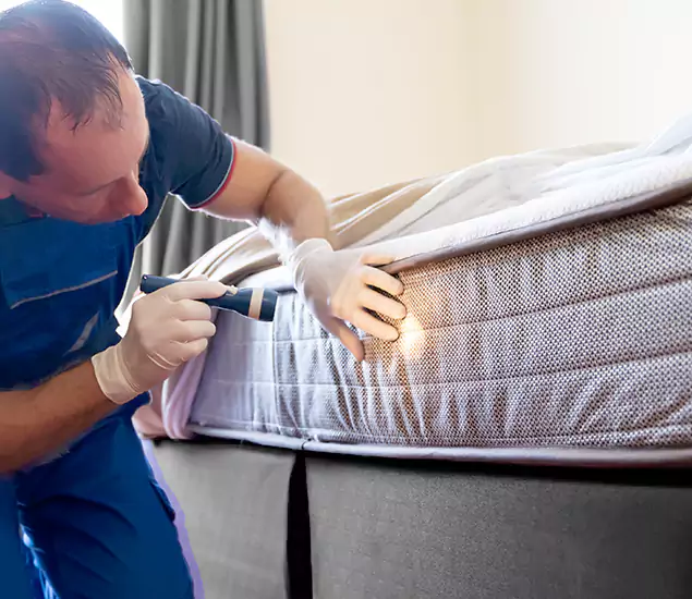 Trusted Bed Bug Cost Experts in Kuna, ID