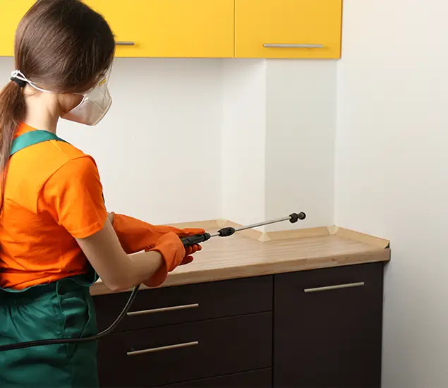 Trusted Bed Bug Pest Control Specialist in Kuna, ID