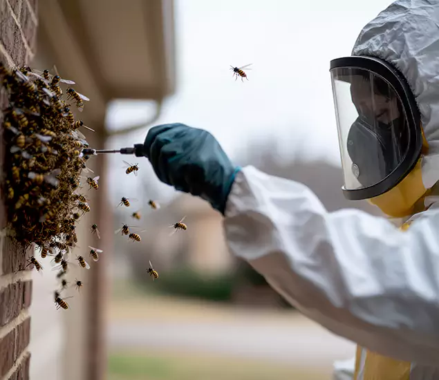 Bee Exterminator