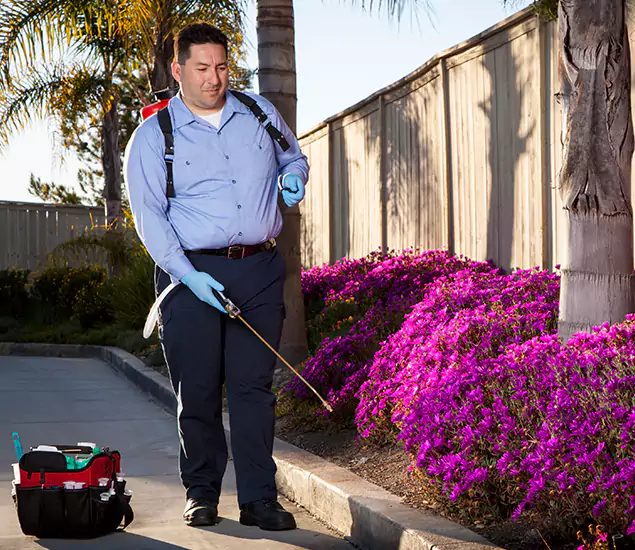 About Our Eco Safe Pest Control Experts in Kuna, ID