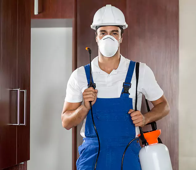 Trusted Exterminator and Pest Exterminator Professionals in Kuna, ID