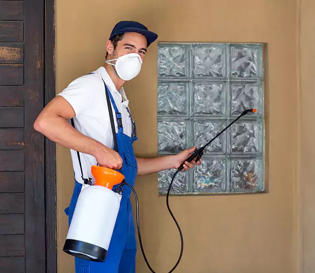 Your Reliable Pest Control in Kuna, ID
