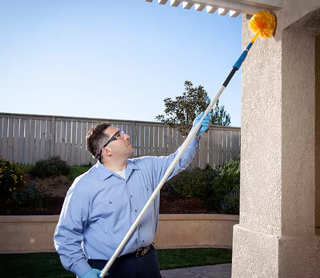 Trusted Experts in Kuna ID for Formosan Termite Treatment and Black Termite Control