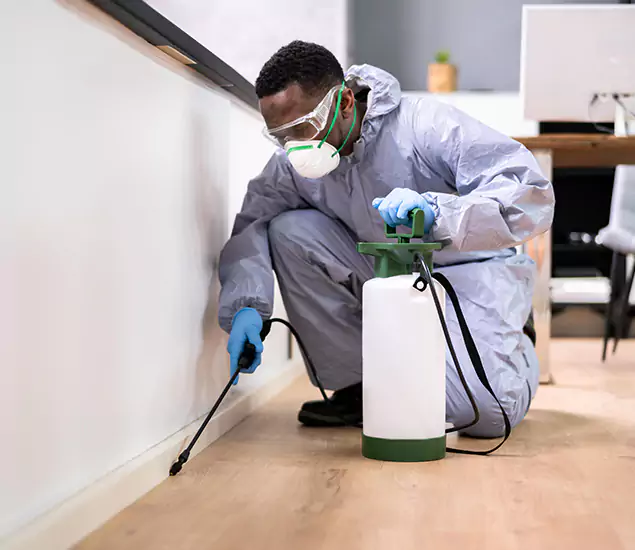 Leading Industrial Pest Control Experts Serving Kuna, ID