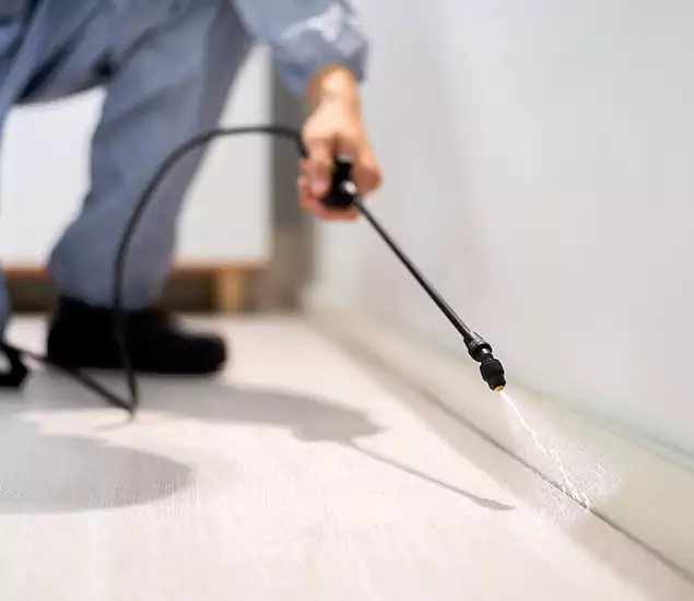About Our Liquid Termite Treatment Experts in Kuna, ID