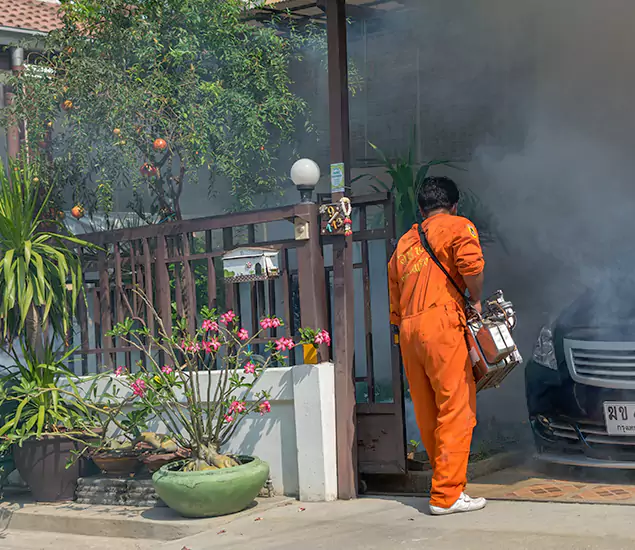Your Proven Mosquito Fogging Company in Kuna, ID